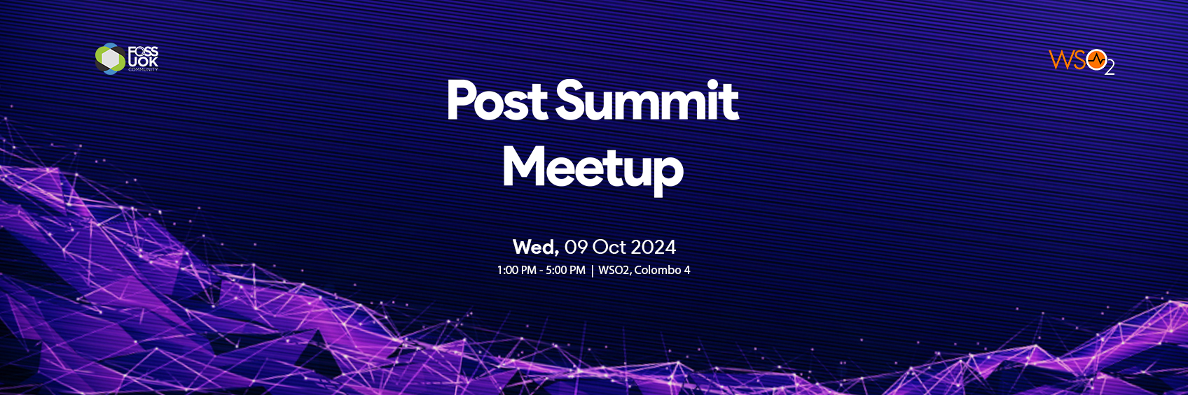 Post Summit Meetup 2024